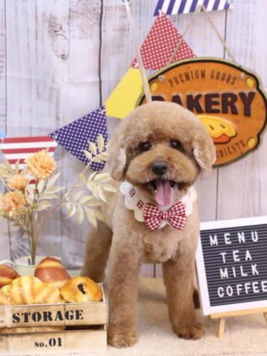 20240911ジョンくん